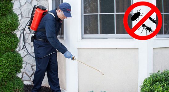 Düzköy Hamam Böceği İlaçlama böcek ilaçlama ve haşere kontrolü — ilaclama-tr.com